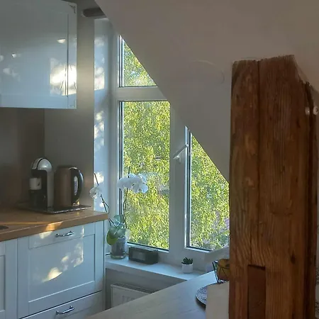 Apartamento Cozy And Stylish In 1877 Historical House