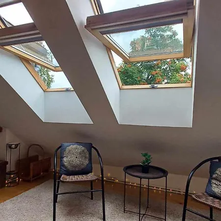 Cozy And Stylish In 1877 Historical House Apartment