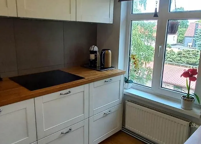 Cozy And Stylish In 1877 Historical House Appartement