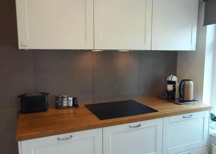 Cozy And Stylish In 1877 Historical House Appartement Klaipėda